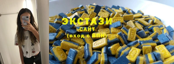 тгк Дмитриев