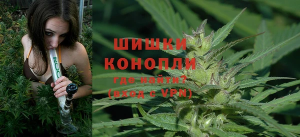 твердый Белокуриха